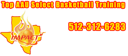 Impact Sportz Basketball