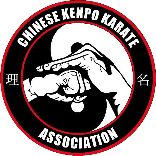 Austin Kenpo Karate Summer Camp